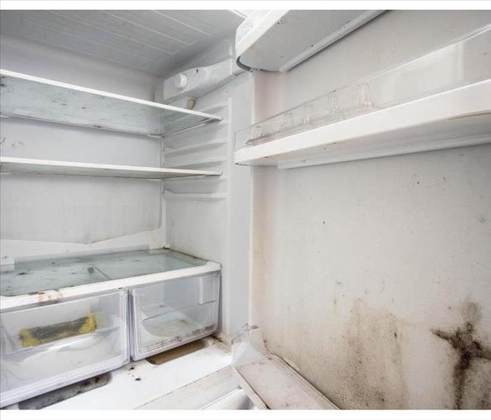 Mold growth inside a refrigerator