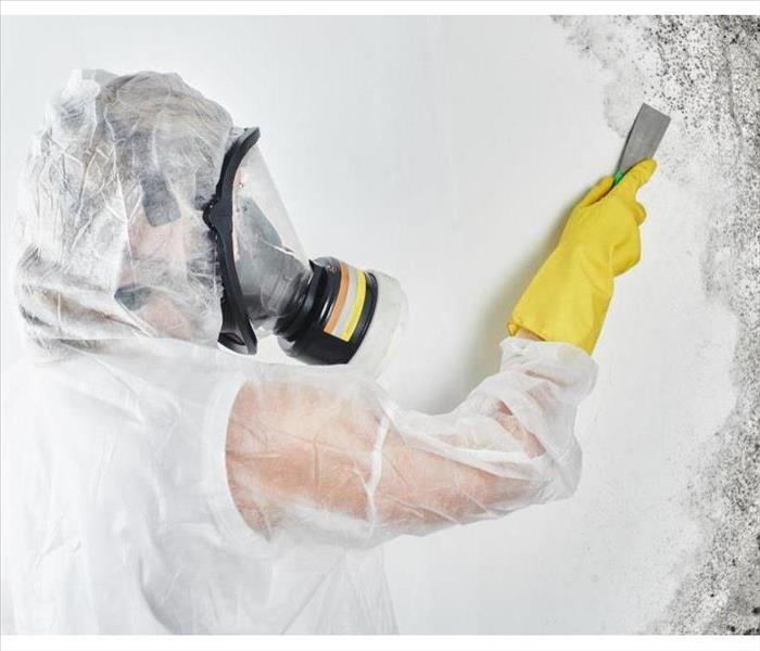 A professional disinfector in overalls processes the walls from mold