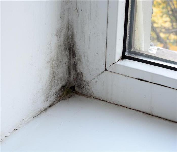Black mold growth on corner of a window